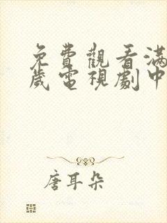 免费观看满十八岁电视剧中文版