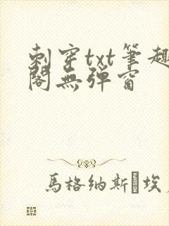 刺穿txt笔趣阁无弹窗