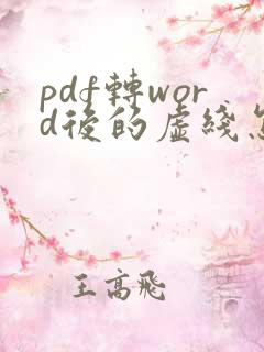 pdf转word后的虚线怎么去除