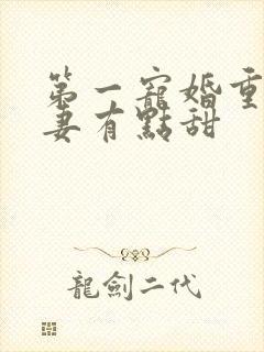 第一宠婚重生娇妻有点甜