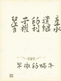 儿子的遗产母亲有权利继承吗