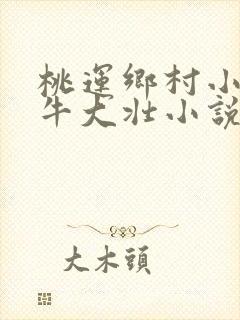 桃运乡村小神医牛大壮小说