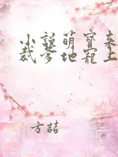小说萌宝来袭总裁爹地宠上天