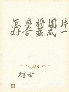 怎么将图片和pdf合并成一个pdf