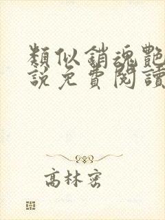 类似销魂艳婢小说免费阅读
