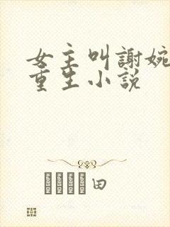 女主叫谢婉宁的重生小说