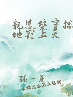 龙凤双宝总裁爹地宠上天