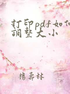 打印pdf如何调整大小