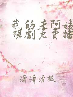 我的老阿姨4电视剧免费播放
