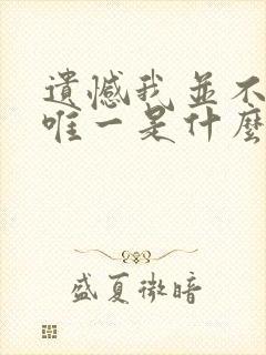 遗憾我并不是你唯一是什么歌