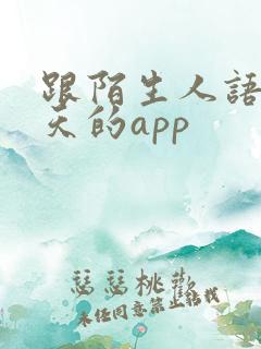 跟陌生人语音聊天的app