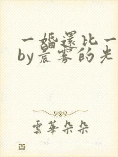 一婚还比一婚高by晨雾的光未删减