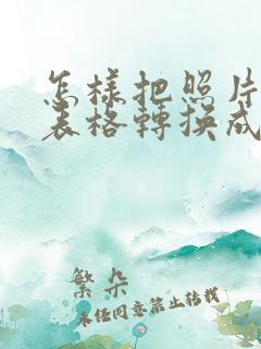 怎样把照片中的表格转换成电子版的