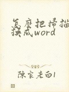 怎么把扫描件转换成word