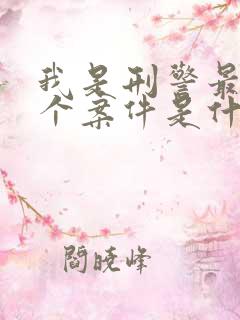 我是刑警最后一个案件是什么