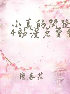 小真的开发日记4动漫免费观看