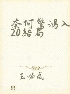 奈何惊鸿入我心20结局