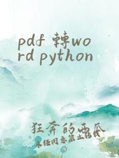 pdf 转word python