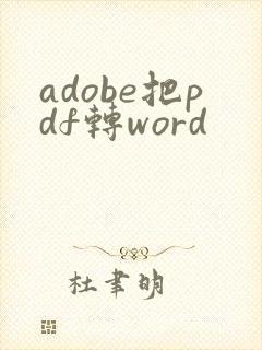 adobe把pdf转word