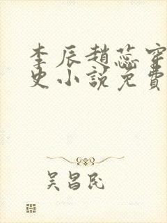 李辰赵蕊穿越历史小说免费阅读