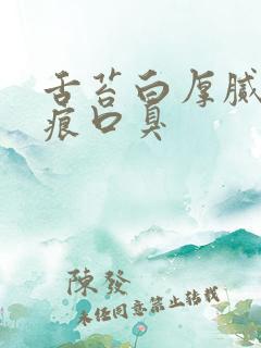 舌苔白厚腻有齿痕口臭