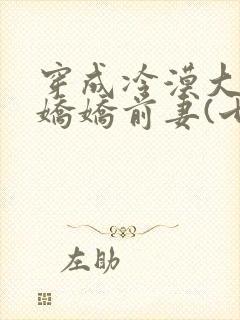 穿成冷漠大佬的娇娇前妻(七零)