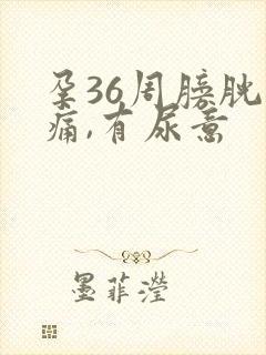 孕36周膀胱刺痛,有尿意