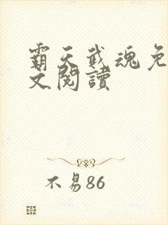 霸天武魂免费全文阅读