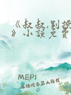 《叔叔,别撩我》小说免费