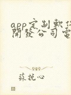 app定制软件开发公司电话