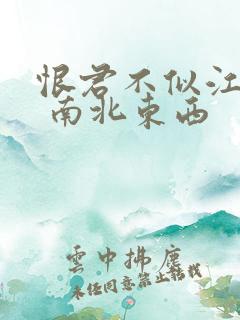 恨君不似江楼月 南北东西