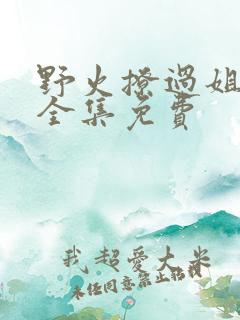 野火撩过姐姐心全集免费