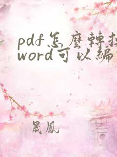pdf怎么转换word可以编辑