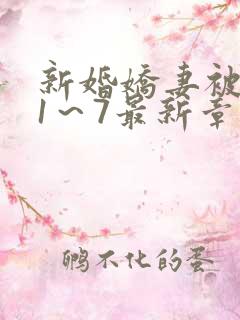 新婚娇妻被肉记1～7最新章节小说