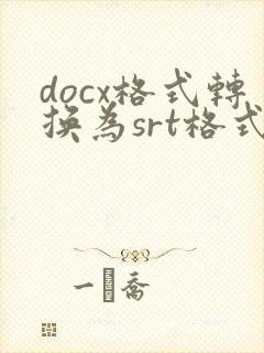 docx格式转换为srt格式