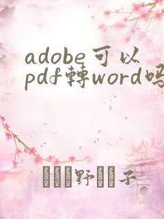 adobe可以pdf转word吗