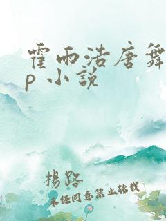 霍雨浩唐舞麟cp 小说