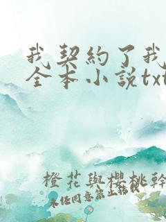 我契约了我自己全本小说txt下载