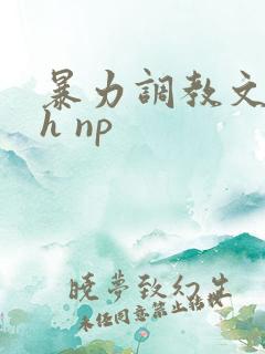 暴力调教文 高h np