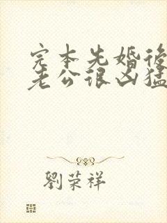 完本先婚后爱:老公很凶猛