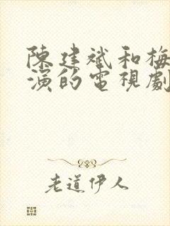 陈建斌和梅婷主演的电视剧《幸福很简单》