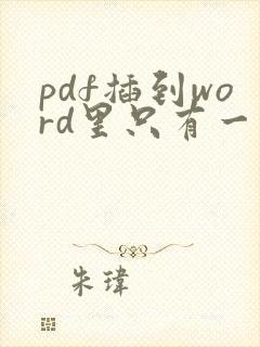pdf插到word里只有一页