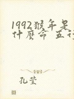 1992猴年是什么命 五行