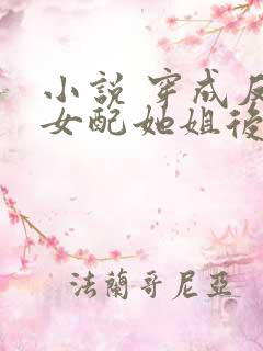 小说 穿成反派女配她姐后我十项全能了