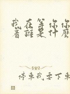 我在等你你在等着谁是什么歌