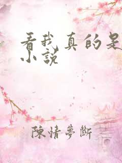 看我真的是正派小说