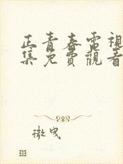 正青春电视剧全集免费观看完整版