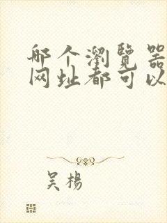 哪个浏览器什么网址都可以打开