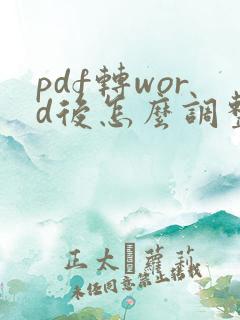 pdf转word后怎么调整排版