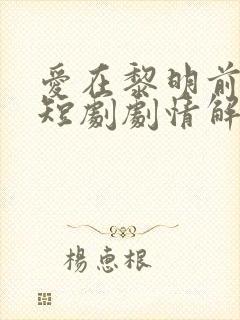 爱在黎明前升起短剧剧情解析